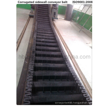 Wk60 Cleated Sidewall Clapboard Conveyor Belt